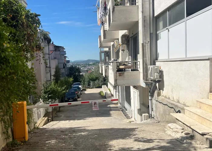 Plant דירה